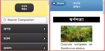 ভেষজ উদ্ভিদের ও ব্যবহার