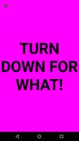 Turn Down For What?!-poster