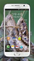 Transparent Live Wallpaper اسکرین شاٹ 3