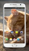 Transparent Live Wallpaper постер