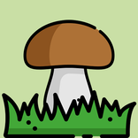 SilentHunt: Mushroom Notebook