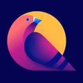 QP: Ask Me Anything