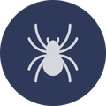 Spyder
