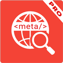 HTML Web Meta Analyzer Pro APK