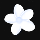 APK Simple Gallery
