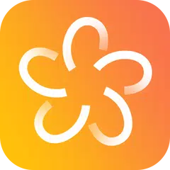 Photo Gallery & Album XAPK download