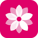 Galleria fotografica e album