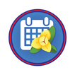 Schedule Digital icon