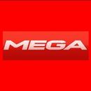 Mega Correct Score APK