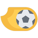 Mega Correct Score APK