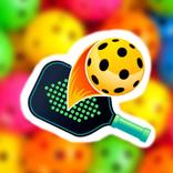 Pickleball Game Mini