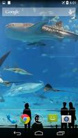 Mega Aquarium Video Wallpaper الملصق