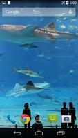 Mega Aquarium Video Wallpaper تصوير الشاشة 1
