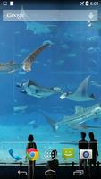 برنامه‌نما Mega Aquarium Video Wallpaper عکس از صفحه