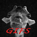 GIF APK