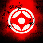 Karate Kyokushin icon