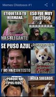 Memes Chistosos #1 Cartaz