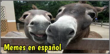 Memes en español