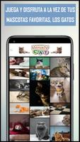 Descubre los gatos y gatitos syot layar 3