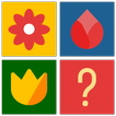 Memory Match - Memory Games