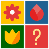 Memory Match - Memory Games icon