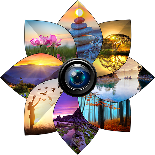 Gallery : Photo Video Gallery