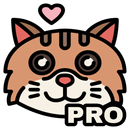 MeowVPN PRO aplikacja