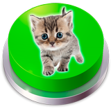Kitten Cat Meow Button icône