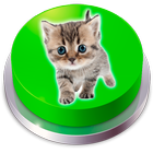 Kitten Cat Meow Button 아이콘