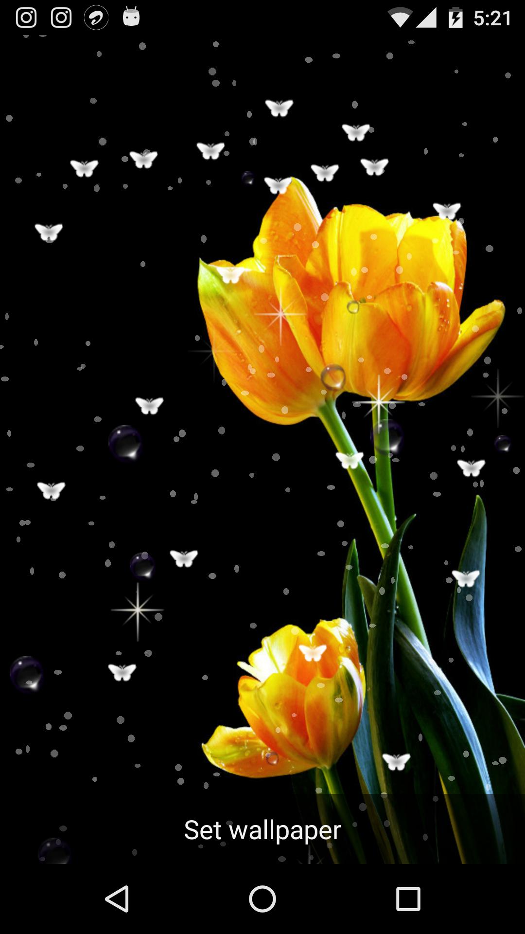 HD Flowers Live Wallpaper APK for Android Download HD Flowers Live Wallpaper APK for Android Download