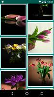 HD Flowers Live Wallpaper ảnh chụp màn hình 3