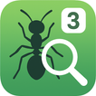 Ant Detect And Count icon
