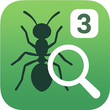 Ant Detect And Count