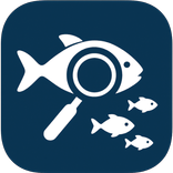 Ornamental Fish Detect & Count