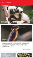 Madagascar L'Île trésor Affiche