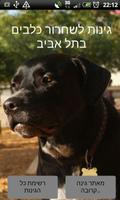 גינות כלבים בתל אביב-poster