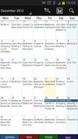 Business Calendar Pro (Agenda) capture d'écran 2
