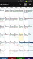 Business Calendar Pro imagem de tela 2