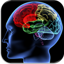 Shuffle 'n Slide Brain Game APK