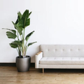 Living Room Wallpaper HD