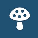 Mushroom - Fungus Identifier APK