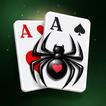 Spider Solitaire Classic® icon