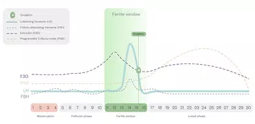 Mira Fertility & Cycle Tracker