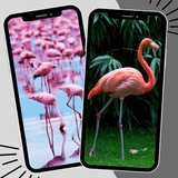 Papel de Parede Flamingo