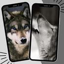 Wolf Wallpaper APK