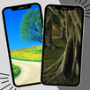 cây hình nền APK