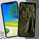 Tree Wallpaper APK