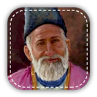 Mirza Ghalib ikona