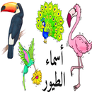 تعليم الأطفال أسماء الطيور باللغة العربية الفصحى-APK