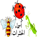 تعليم أسماء الحشرات للأطفال باللغة العربية insects-APK